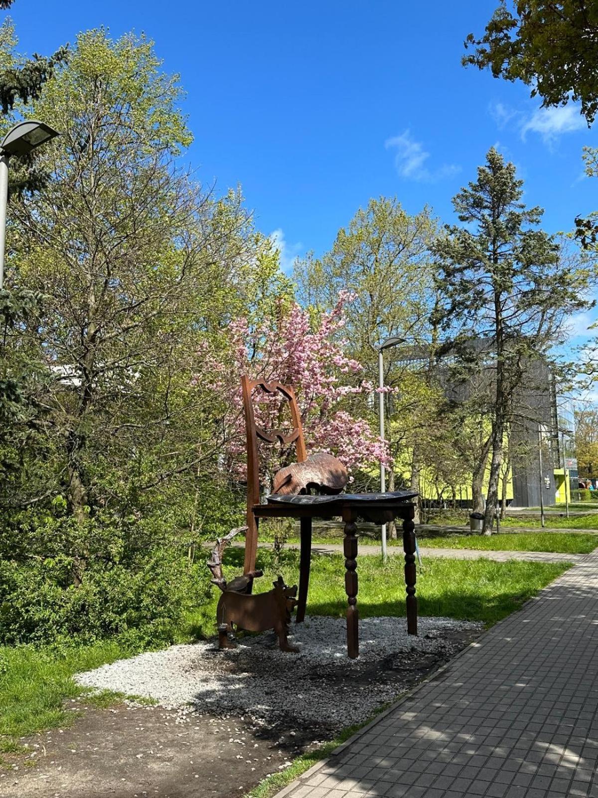 Apartment Kapitanskie Kasprowicza 20b Basen Sauny Jacuzzi Grota Solna Silownia